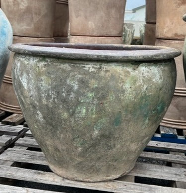 Ancient Green Tree Planter Med