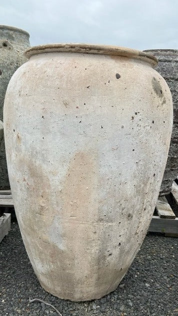 Ancient Urn Creamy