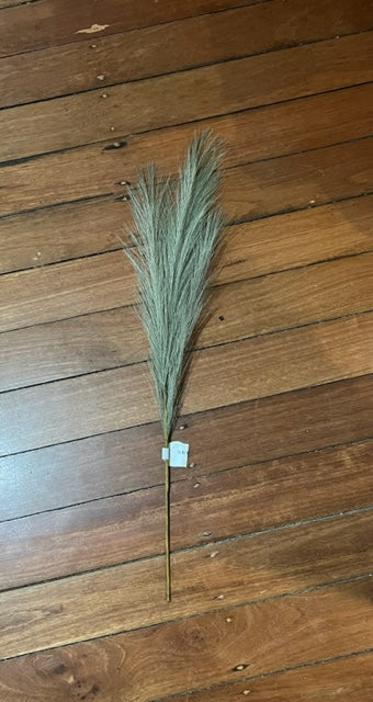 Grass Pampas 70cm Sage