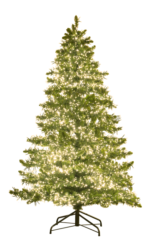 6Foot Green Oxford w/LED lights