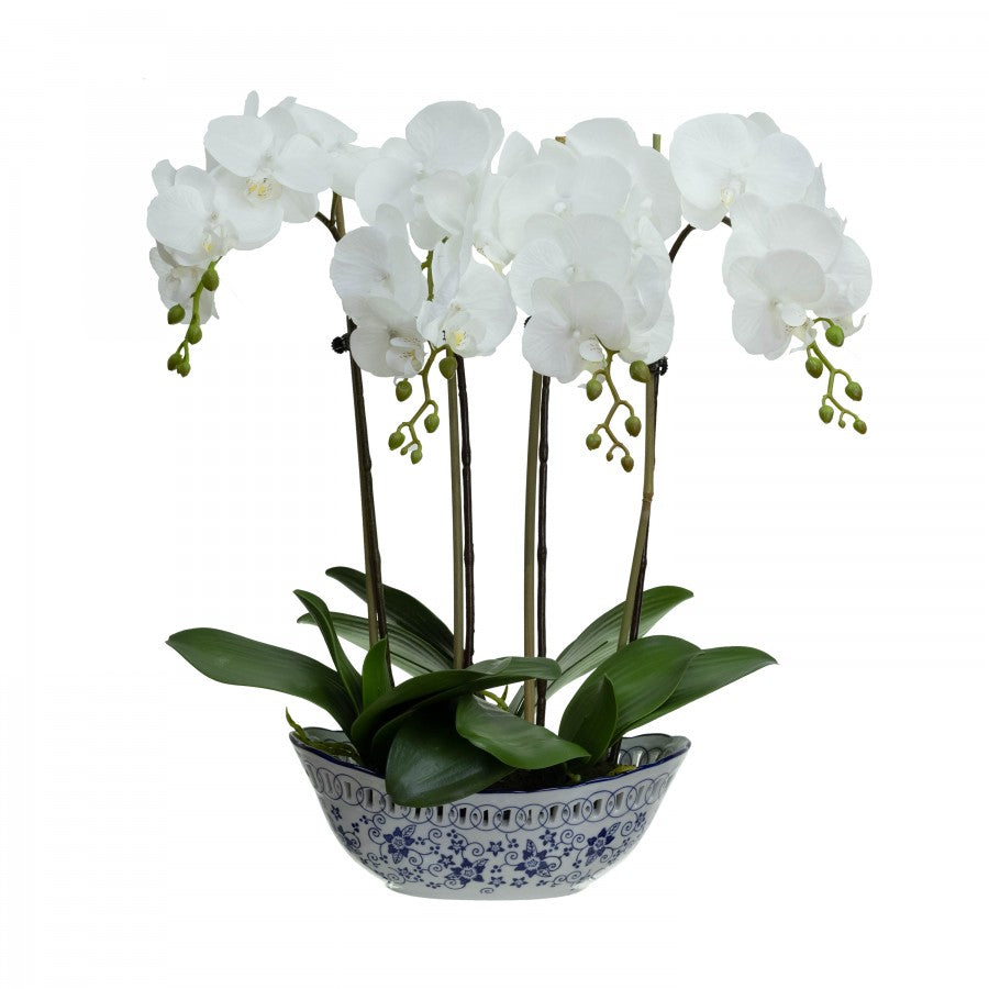 52 cm Orchid in Dynast Pot