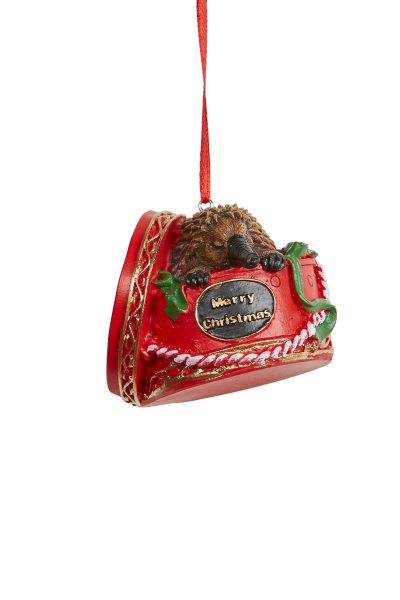 Echidna - Red Giftbox Orn 6cm