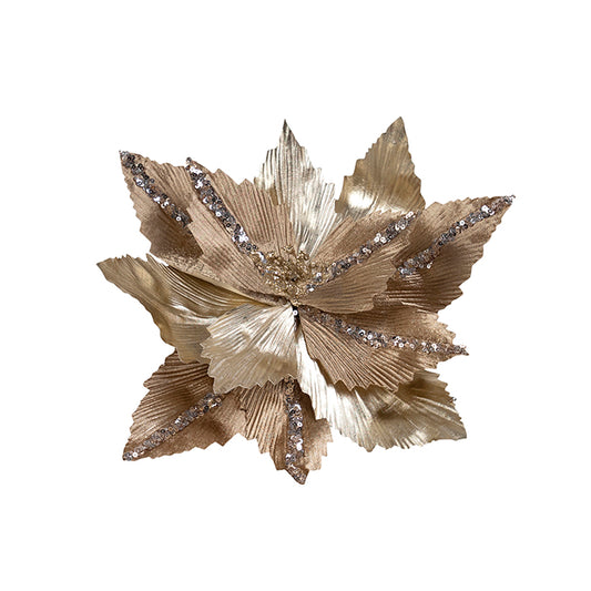 Antique Champagne Clip on Poinsettia