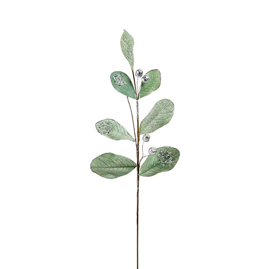 Velvet Leaf Branch Spearmint