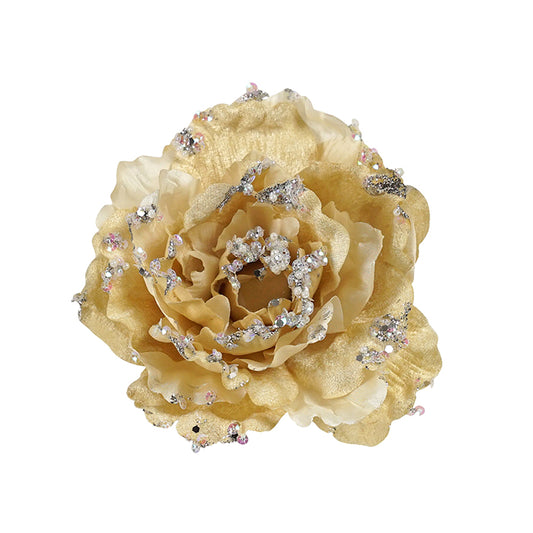 Peony Champagne