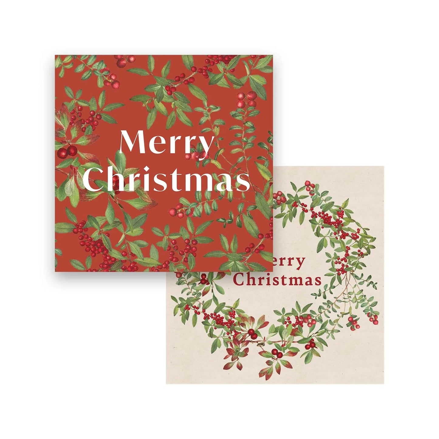 Festive Berry Xmas Card & Envelope (8)