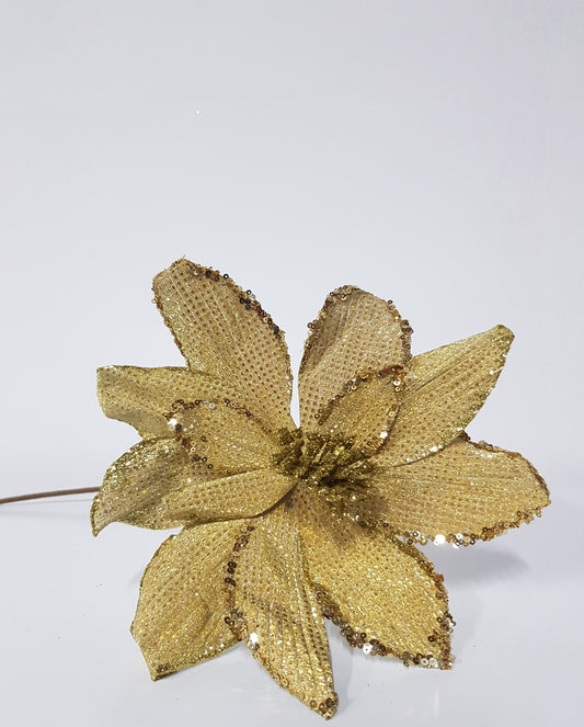 Gold Poinsettia