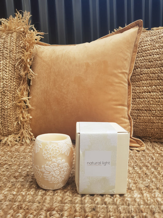 Japanese Chrysanthemum 4" Hurricane  Ivory/White