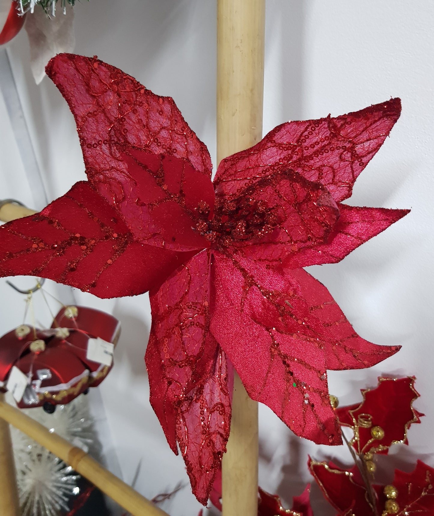 Red Poinsettia